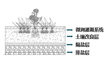 尊时凯龙·(中国区)人生就是搏!
